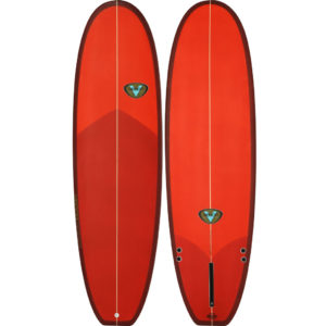 rental surfboard